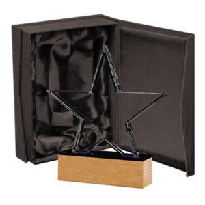 Galvano Cristal con Base de Madera 120 x 150 mm.