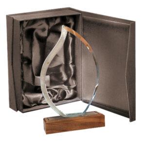 Galvano Cristal con Base de Madera 110 x 200 mm.